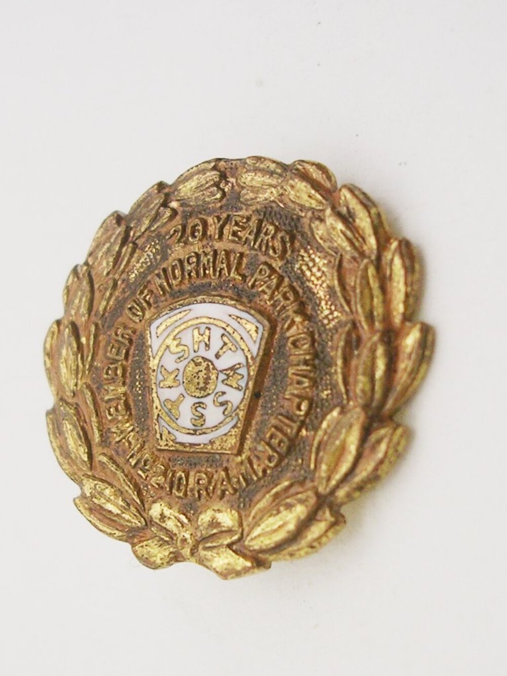 Vintage Freemason Pin RAM Royal Arch Masons Chicago 20 Years Award